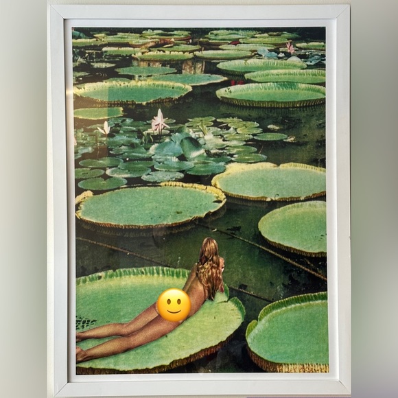 Brand New In Box Framed Beth Hoeckel Lily Pond ART Print FROM URBAN OUTFITTERS - Picture 1 of 3